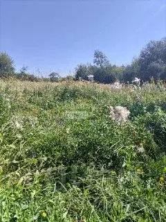 Участок в Иркутская область, Иркутский муниципальный округ, Иркут ...