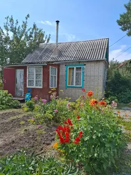 Дом в Курганская область, Курган Сибирячка СНТ,  (20 м)