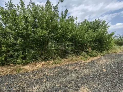 Участок в Ростовская область, Родионово-Несветайский район, ...