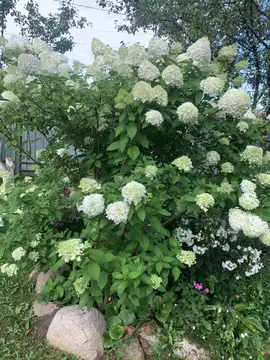 Участок в Калужская область, Перемышльский район, Корекозево с/пос, с. ...