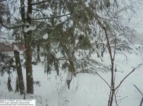 Участок в Московская область, Дмитровский муниципальный округ, д. ...