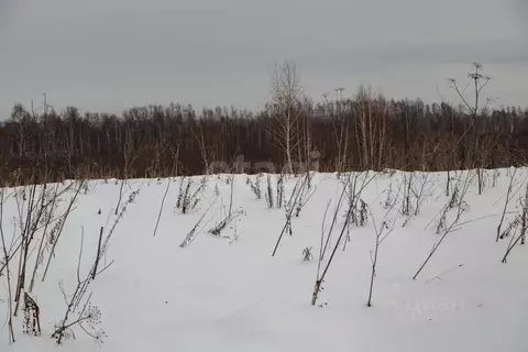 Участок в Кемеровская область, Новокузнецкий муниципальный округ, пос. ...