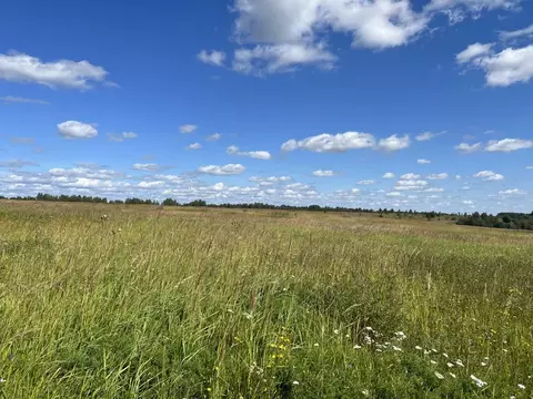 Участок в Тверская область, Зубцовский муниципальный округ, д. ...