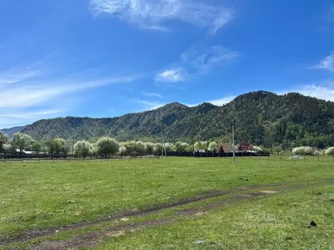 Участок в Алтай, Чемальский район, Аносинское с/пос  (10.0 сот.)