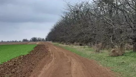 Участок в Крым, Сакский район, с. Ромашкино  (6.0 сот.)