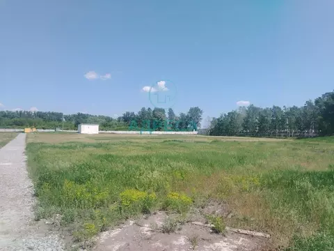 Участок в Белгородская область, Новооскольский муниципальный округ, ...