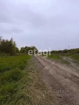 Участок в Ханты-Мансийский АО, Ханты-Мансийского муниципального района ...