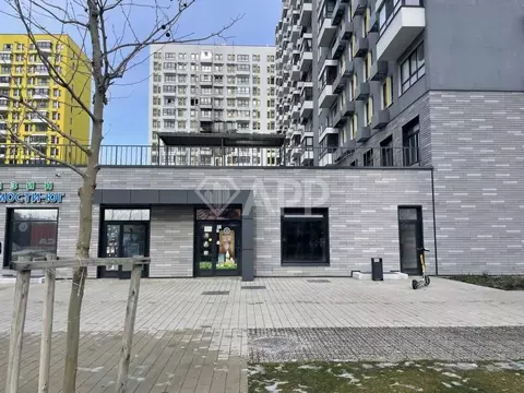 Помещение свободного назначения в Краснодарский край, Новороссийск ул. ...