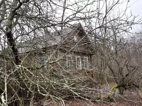Дом в Ленинградская область, Лодейнопольский район, Алеховщинское ...