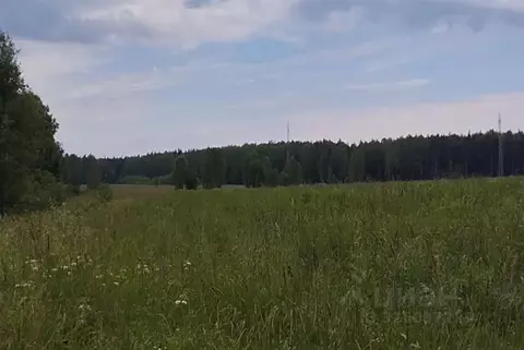 Участок в Московская область, Дмитровский муниципальный округ, д. ...