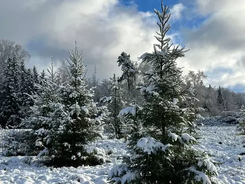 Участок в Московская область, Солнечногорск городской округ, д. ...