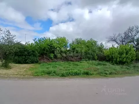 Участок в Белгородская область, Валуйский муниципальный округ, с. ...