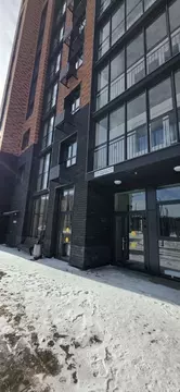 2-к кв. Самарская область, Тольятти ул. 40 лет Победы, 31 (56.0 м)