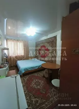 Студия Кемеровская область, Топки Советская ул., 56 (17.6 м)