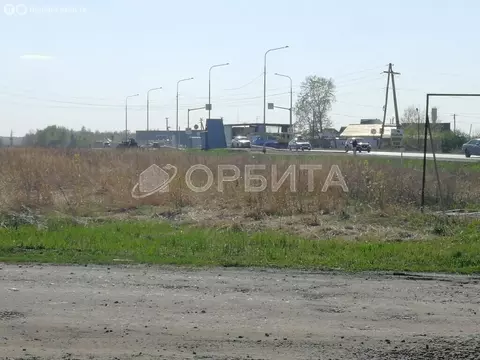 Участок в Тюменский муниципальный округ, ТСН Серебряный Бор, ...