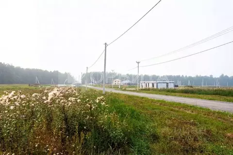 Участок в Тюменская область, Тюменский муниципальный округ, с. Кулига, ...