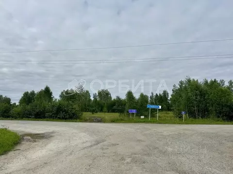 Участок в Тюменская область, Тюменский муниципальный округ, Маяк СНТ ...