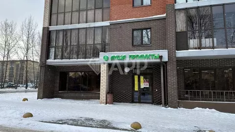 Помещение свободного назначения в Татарстан, Казань ул. Рауиса ...