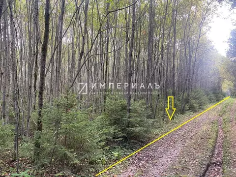 Участок в Калужская область, Жуковский муниципальный округ, Высокиничи ...