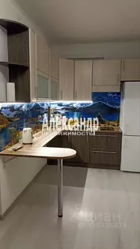 1-к кв. Санкт-Петербург ул. Верхне-Каменская, 11к1 (39.0 м)