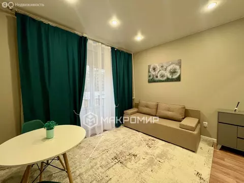 Квартира-студия: Санкт-Петербург, Елецкая улица, 9 (18 м)