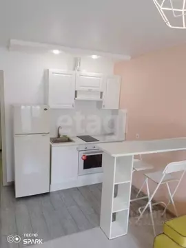 Студия Санкт-Петербург пос. Шушары, просп. Новгородский, 4 (22.0 м)