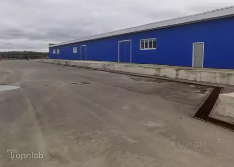 Производственное помещение в Московская область, Домодедово Заря СНТ, ...