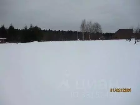 Участок в Калужская область, Малоярославецкий муниципальный округ, с. ...