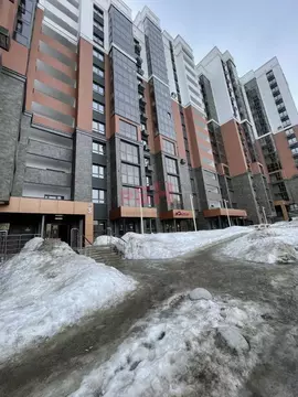 Офис в Пензенская область, Пенза ул. Богданова (62 м)