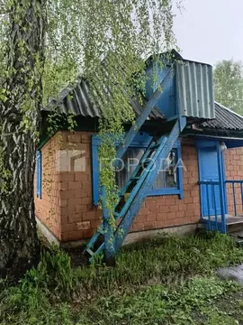 Участок в Новосибирская область, Искитимский район, Чернореченский ...