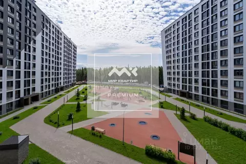 Студия Санкт-Петербург Планерная ул., 93 (20.5 м)