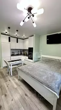 Студия Санкт-Петербург ул. Федора Котанова, 3к2 (31.0 м)