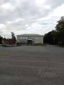 Помещение свободного назначения в Алтайский край, Калманский район, с. ...