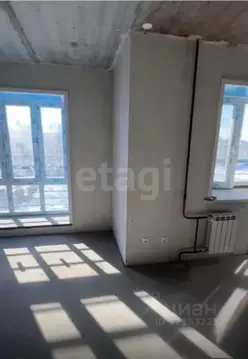 1-к кв. Амурская область, Благовещенск Высокая ул., 33 (43.7 м)