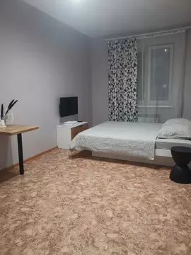 Студия Амурская область, Благовещенск ул. Ломоносова, 179 (20.0 м)