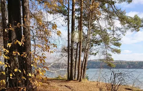 Участок в Иркутская область, Иркутский муниципальный округ, Михалево ...