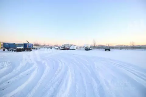 Склад в Московская область, Бронницы ул. Льва Толстого, 23с12 (3500 м)