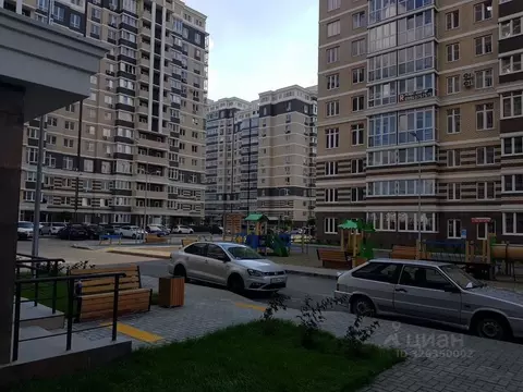 Помещение свободного назначения в Краснодарский край, Краснодар ул. ...