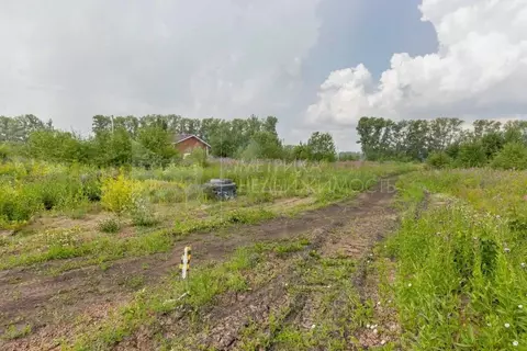 Участок в Тюменская область, Тюмень Зеленые Аллеи жилой квартал,  (6.8 ...