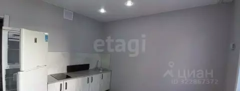 Студия Тюменская область, Тюмень ул. Фармана Салманова, 15 (25.0 м)