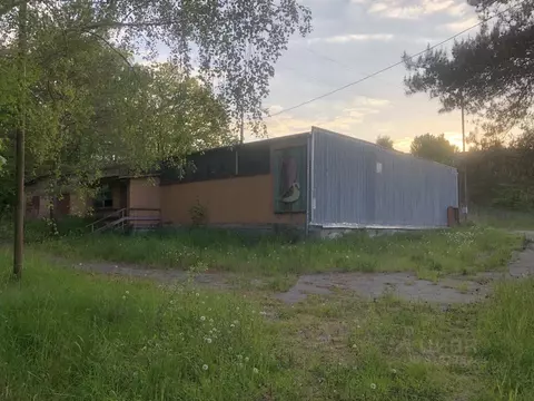 Помещение свободного назначения в Калининградская область, Светлогорск ...