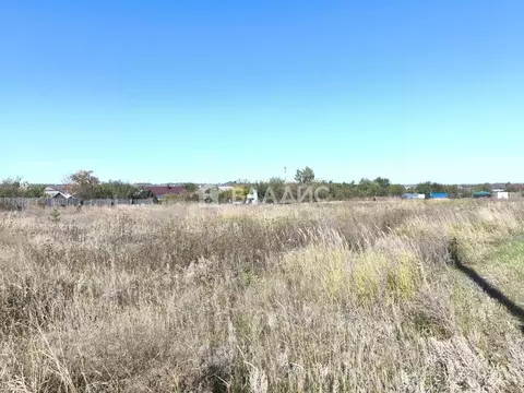 Участок в Воронежская область, Рамонский район, Новоживотинновское ...