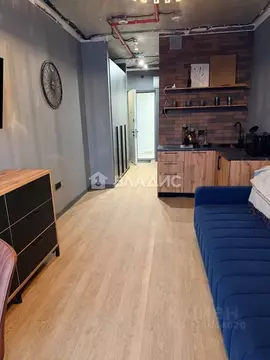 Студия Московская область, Одинцово ул. Чистяковой, 8 (24.0 м)