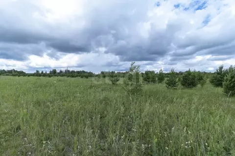 Участок в Тюменская область, Тюменский муниципальный округ, д. Елань  ...