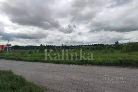 Участок в Алтай, Майминский район, с. Майма  (50.0 сот.)