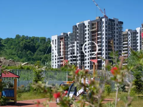 Студия Краснодарский край, Сочи ул. Искры, 66/10 (21.0 м)