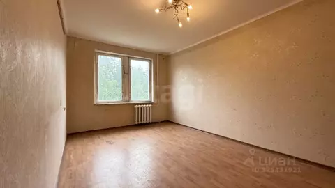 1-к кв. Ленинградская область, Сертолово Всеволожский район, Черная ...