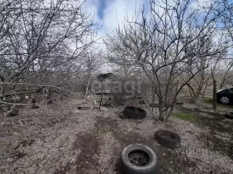 Участок в Саратовская область, Балашовский район, Хоперское ...