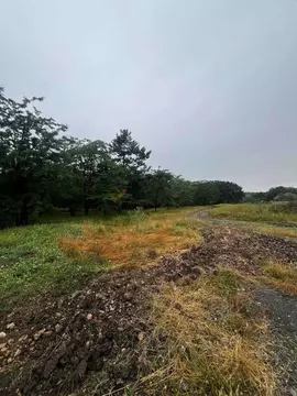 Участок в Крым, Симферопольский район, с. Мирное  (16.0 сот.)