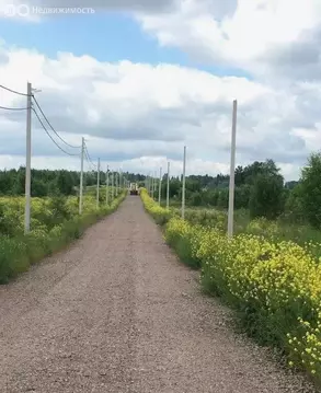 Участок в Гостилицкое сельское поселение, садоводческое некоммерческое ...